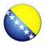 Flag of Bosnia and Herzegovina icon