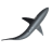 Shark-48
