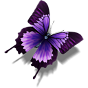 Butterfly-128