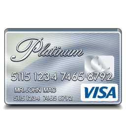 Visa Platinum-256