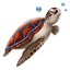 Turtle-64