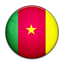 Flag of Cameroon icon