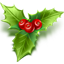 Mistletoe icon