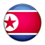Flag of North Korea icon