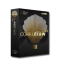 Corel Draw X5 Black and Gold-64