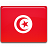 Tunisia Flag-48