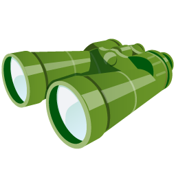 Binoculars-256