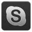 Skype Grey icon