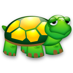Turtle-256