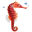 Seahorse-64