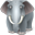 Elephant-32