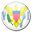 Virgin Islands Flag-32
