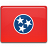 Tennessee Flag-48