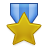 Medal Gold icon
