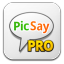 Picsaypro icon