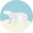 Polar Bear-48