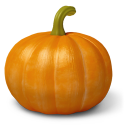 Pumpkin-128