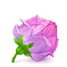 Rose cube icon