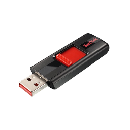 Sandisk Cruzer Micro Black Alt USB-256