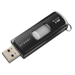 Sandisk Cruzer Micro Black USB-256