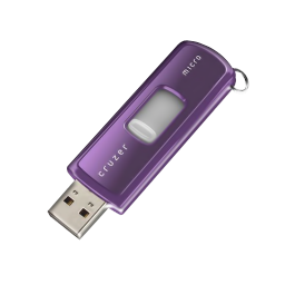 Sandisk Cruzer Micro Purple USB-256
