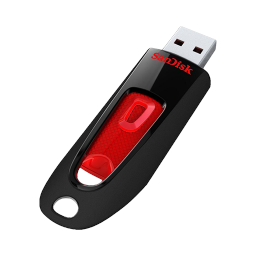 Sandisk Ultra USB-256