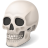 Skull-48