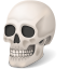 Skull-64