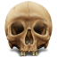 Skull-64