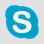 Skype Flat icon