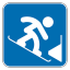 Snowboard Parallel Slalom Icon