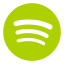 Spotify Circle icon