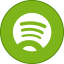 Spotify Round With Border icon