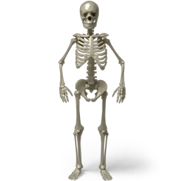 Standing skeleton