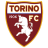 Torino Logo-48