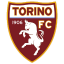 Torino Logo Icon