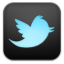 Twitter Dark icon