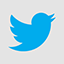 Twitter Light flat icon