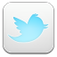 Twitter Light icon