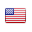 US flag Icon