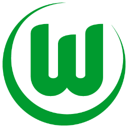 VfL Wolfsburg Logo-256