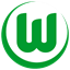 VfL Wolfsburg Logo icon