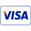 Visa Payment Icon