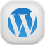 Wordpress Light-64