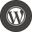 Wordpress Round With Border icon